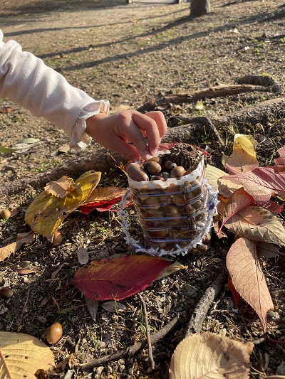 ［保育士ブログ］今月は子どもたちと、落ち葉のリースを作りました！