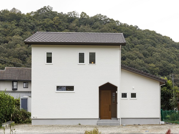 38坪/三角垂れ壁が印象的、自然の中で映える家